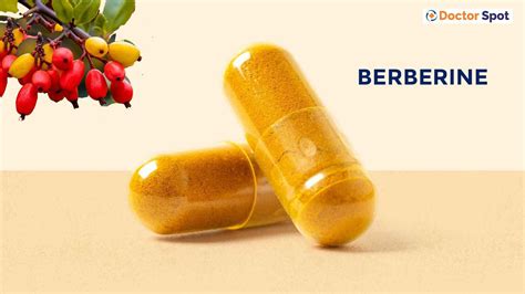 Berberine: Health Benefits, Side Effects, Risks, and More.